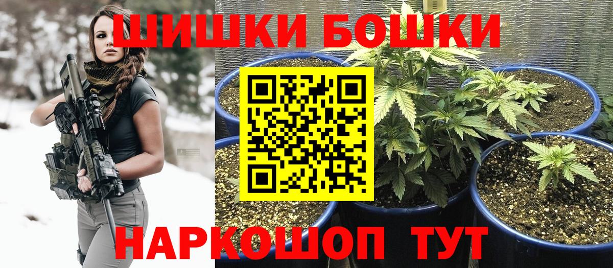 МАРИХУАНА сатива Великий Устюг